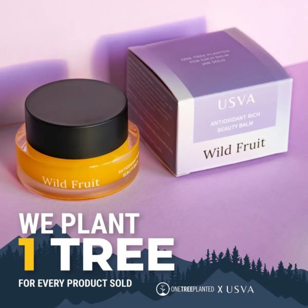Wild Fruit Antioxidant Rich Beauty Balm, 30ml – Image 2